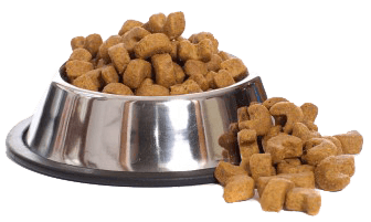 dog food - The Dogington Post