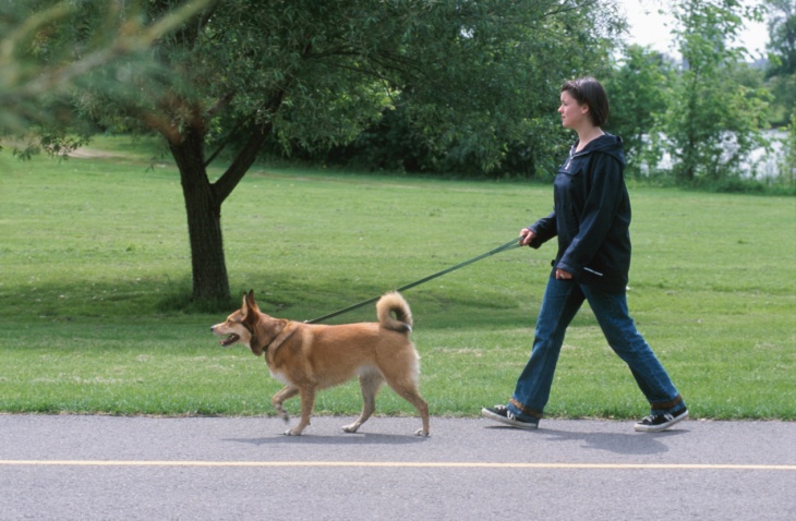 http://www.dogingtonpost.com/wp-content/uploads/2014/04/walkingthedog2.jpg