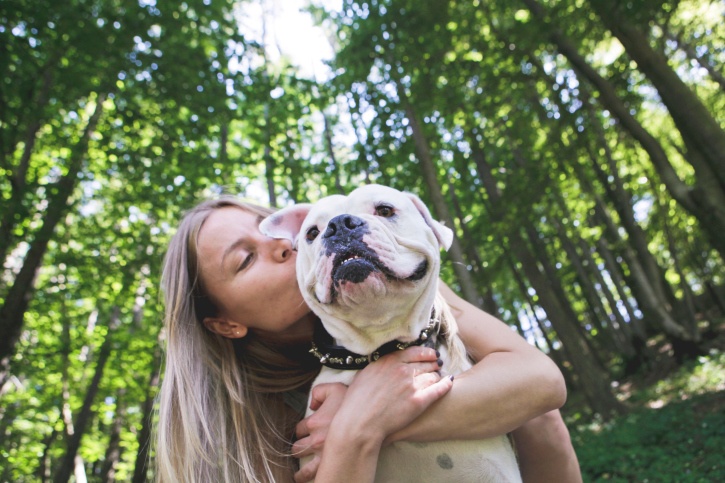 5 Ways To Build A Better Relationship With Your Dog The Dogington Post
