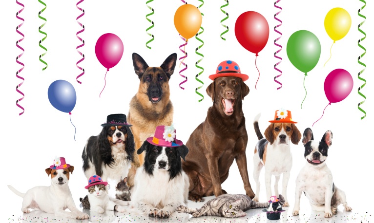 happy new year dog clipart - photo #30