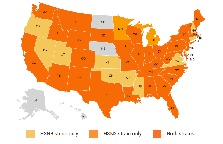 ALERT Dog Flu Now Confirmed in 46 States The Dogington Post