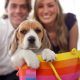 The Six Types Of Dog Boutique Shoppers