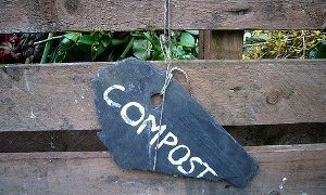 Don't Compost Dog Poop For Fertilizer | photo by Kirsty Hall