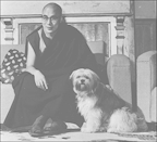 Dalai Lama And Dog Senge