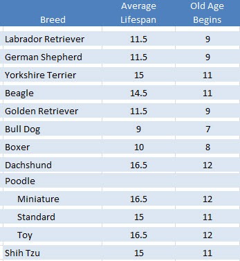 Old Age Chart For Dogs