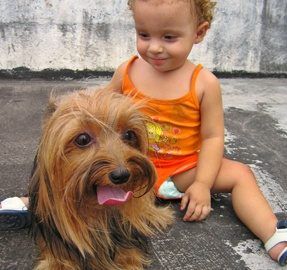 Dog And Child Relationships