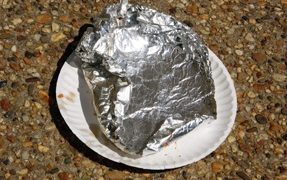 The Dangers Of Aluminum For You And Your Dog