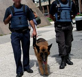 Police Dog 287