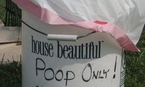 Dog Poop Photo By