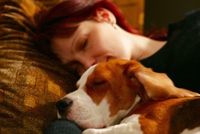 Should Your Dog Sleep With You?