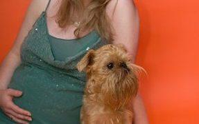 How Dogs React to Human Pregnancy