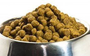 Tips for Adding Fiber to Your Dog's Diet