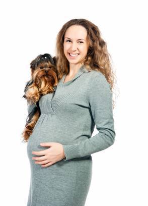 How Dogs React to Human Pregnancy - The Dogington Post