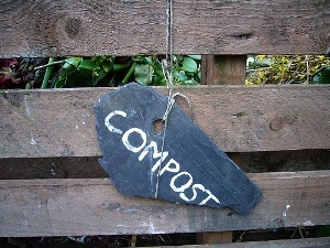 Read About The Dangers Of Composting To Your Dog | Photo By Kirsty Hall