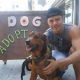 Derek Hough Adopts A Dog Web Opt1