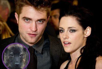Robert Pattinson Kristen Stewart Bear Dog Gi
