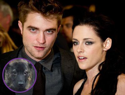 Robert Pattinson Kristen Stewart Bear Dog Gi