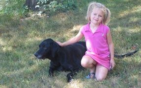 Want a Friend? Get a Dog