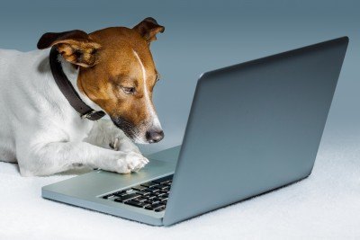 Laptopdog