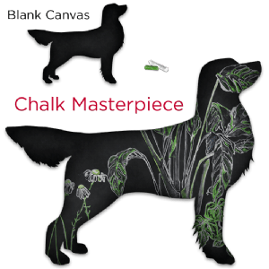 Chalkboarddog