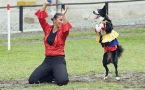 Bigstock Colombian Dancing