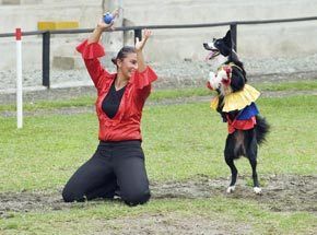 Bigstock Colombian Dancing