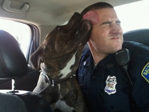 Officer Waskiewicz And Bo