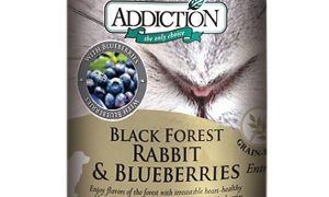 Addiction Black Forest Rabbit Canned Dog Food