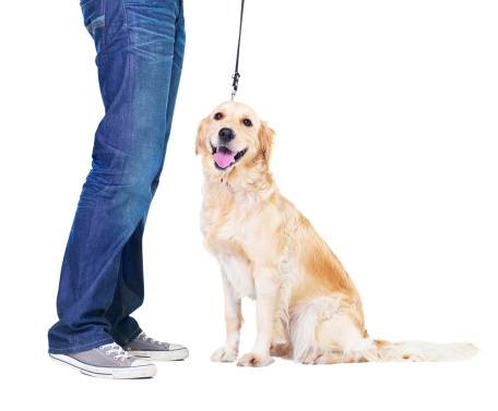 Ask The Trainer: My Dog Is Aggressive Toward Other Dogs During Walks