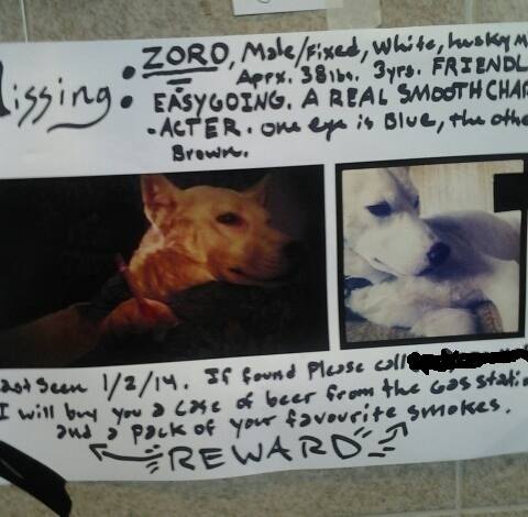 Miller'S Lost Dog Poster Described Zoro As &Quot;A Real Smooth Character&Quot; And Offered A Case Of Beer And A Pack Of Cigarettes For His Safe Return. Photo Courtesy Facebook.
