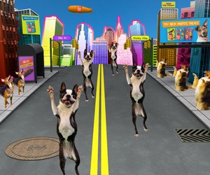 Make Your Own Dancing Dog Street Party! Http://Bit.ly/Rszdnc
