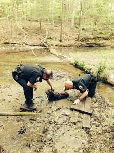 Willistown Township Police Rescued Pluto After 60 Hours Trapped In The Mud, Clinging To Life. Image Via Facebook.