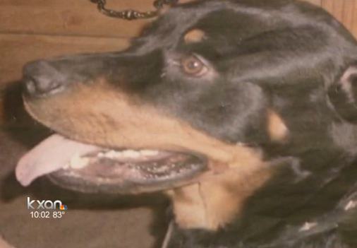 Police Enter Home, Shoot and Kill Family Dog – The Dogington Post