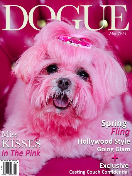Miss Kisses Graced The Cover Of May'S &Quot;Dogue&Quot; Magazine!