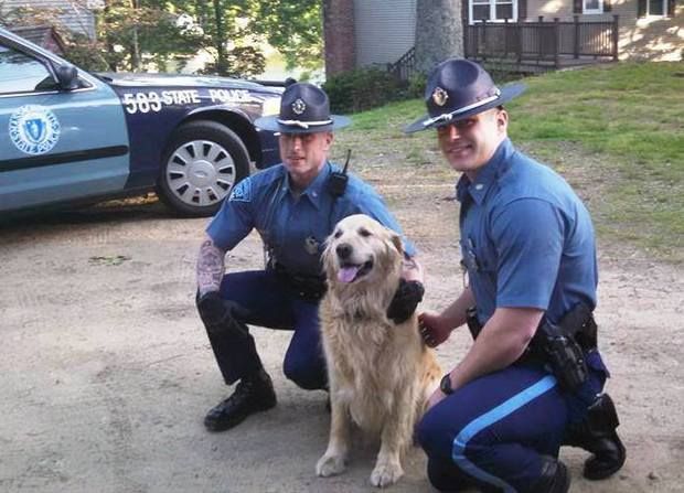 Troopers Free Stuck Dog, Get Slobbered With Kisses! Photo Courtesy Massachusetts State Police/Facebook.