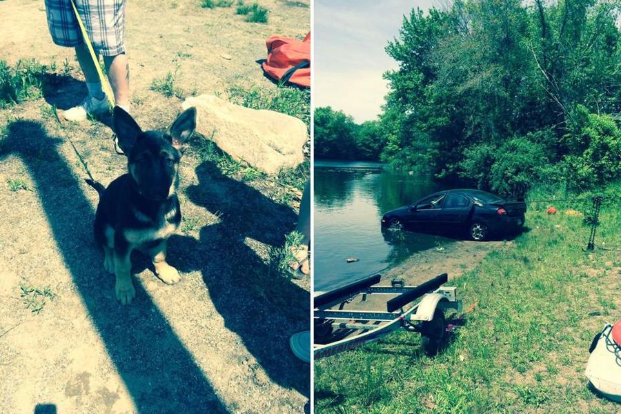 Left: 5-Month Old Rosie Took Her Owner'S Car For A Spin. Right: The Car Had To Be Pulled From The Canton, Massachusetts Pond After It Sank. Photo Courtesy Canton Police Department.