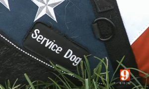 Walker Servicedog