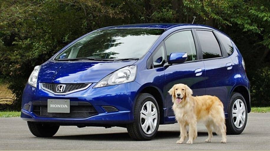 Best Cars For Dogs