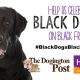 Black Dogs Black Friday