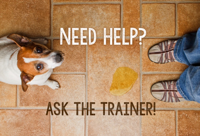 Ask The Trainer: Bring On Your Toughest Training Questions!