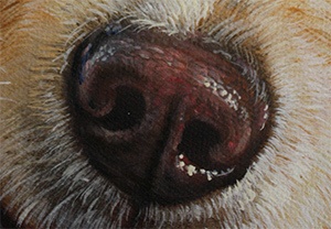 Just Look At The Amazing Detail On Just Noah'S Nose! This Same Attention To Detail Is Carried Through The Entire Piece.
