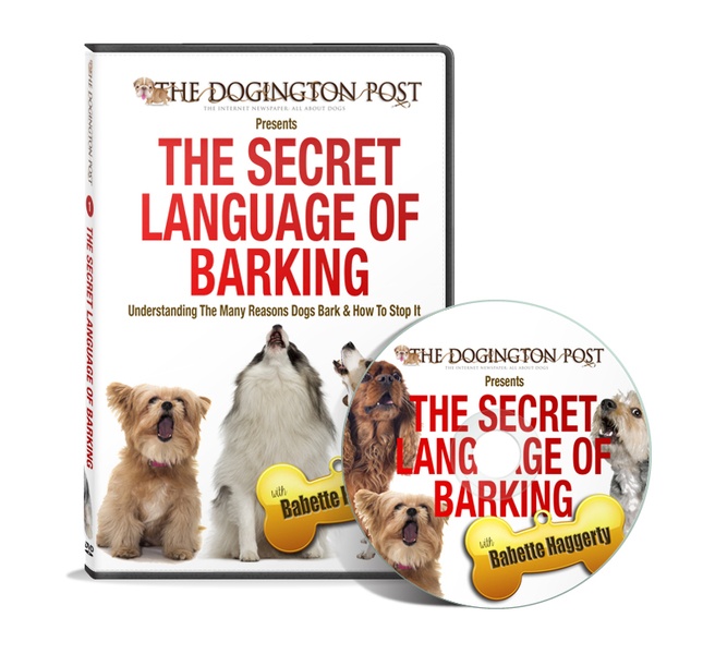 The Secret Language of Barking The Dogington Post