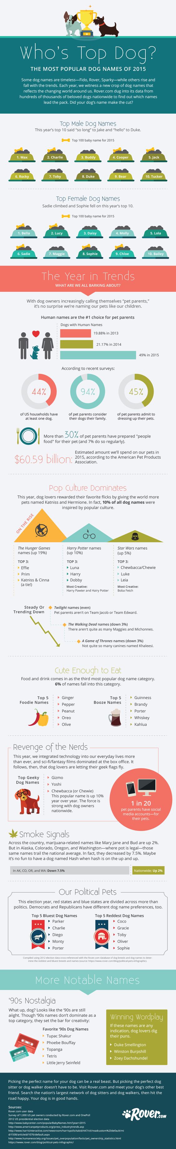Dog_Name_Infographic_2015