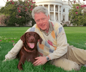 President Clinton And Buddy On The White House Lawn.