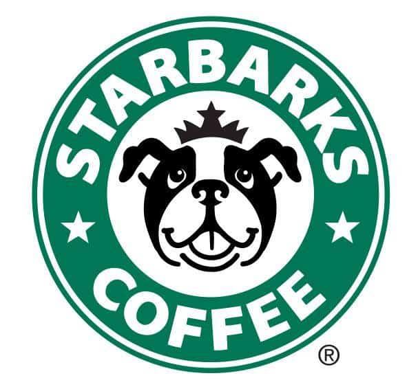 Introducing Starbarks – The Café For 