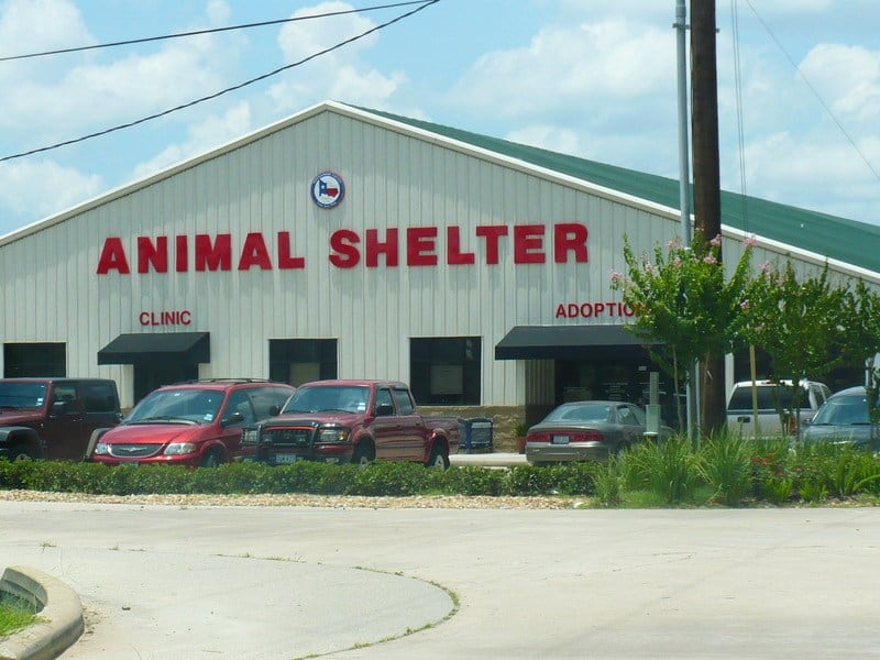 The Montgomery County Animal Shelter In Conroe, Texas.
