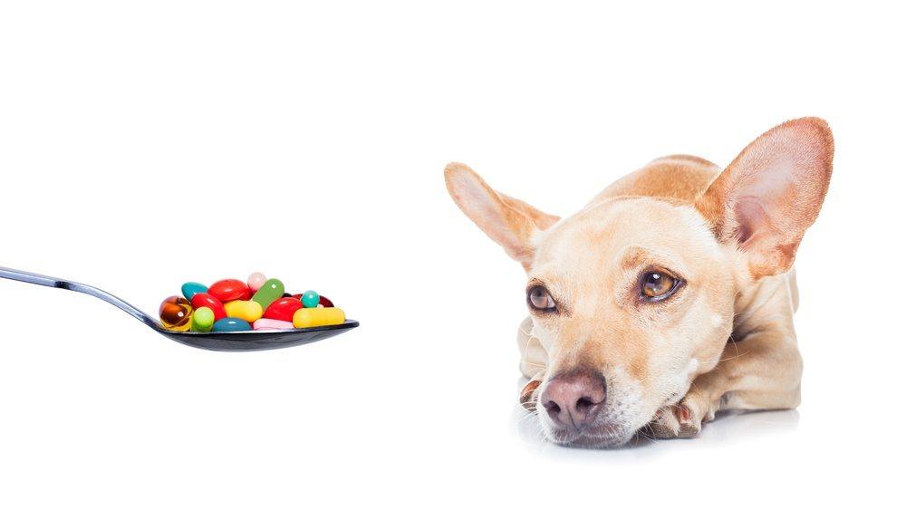 over the counter meds for dogs with diarrhea