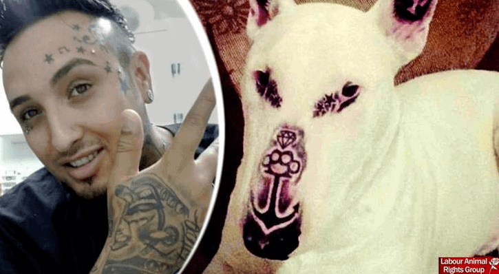 Tattoo Artist Under Fire After Tattooing His Dog 'to Prevent Cancer' - The  Dogington Post