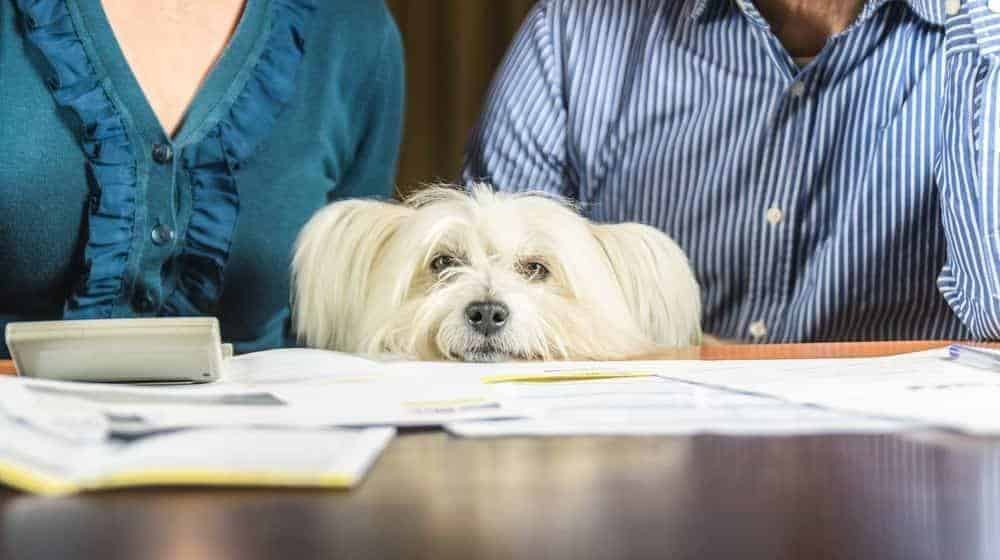 can i claim my emotional support dog on my taxes