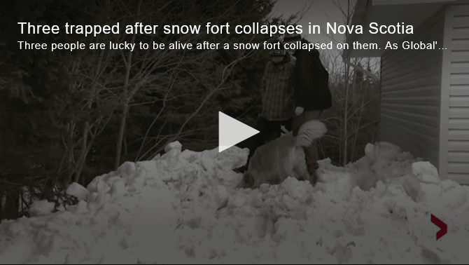 Watch Hero Dog Rescues Family After Snow Fort Collapse The Dogington Post